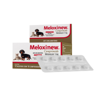 Meloxinew 1 mg Display 120 Comprimidos 