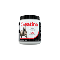 Creatina 500 g 