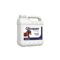 Glicopan Energy 5 L