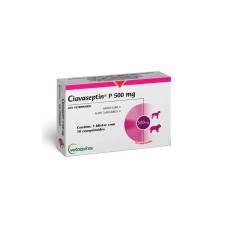 Clavaseptin P 500mg 10 comprimidos