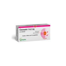 Clavaseptin P 62,5 mg 10 comprimidos