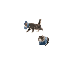 Colar Elizabetano Soft Cães/Gatos Buster Caixa com 10 Unidades