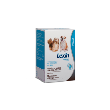 Lexin 300mg com 12 comprimidos