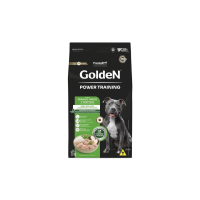 Golden Power Training Cães Adultos 15kg 