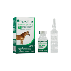 Ampicilina Veterinária Injetável 2 g